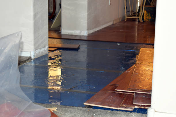 Professional Water Damage Repair technician working in White Cloud, MI
